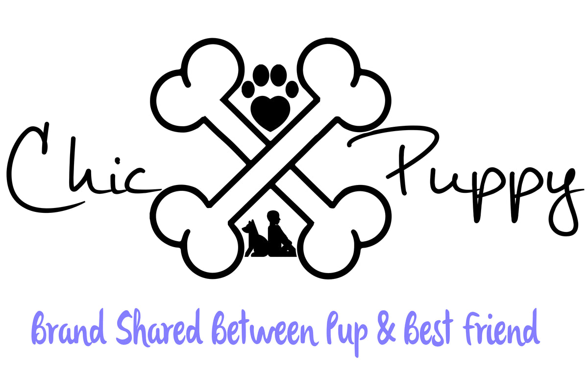 The Saucy Sailor Dog Outfit – Chic Puppy