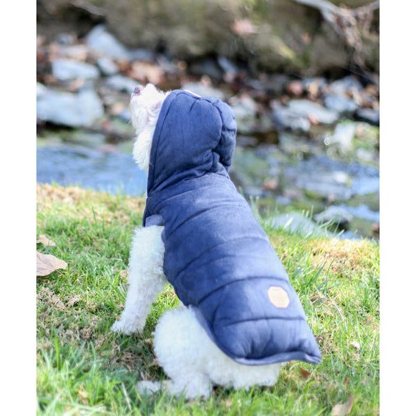Matching Dog and Owner - Puffy Mustache Dog Hoody - Dogs