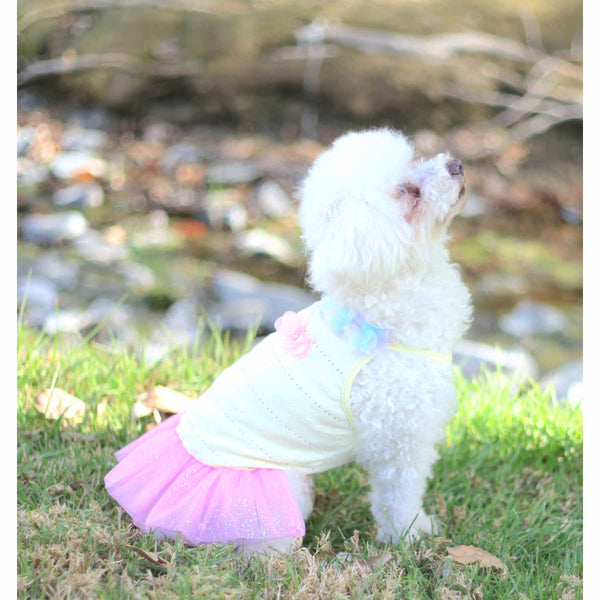 Matching Dog and Owner - Sunshine TuTu Dog Dress - Dogs