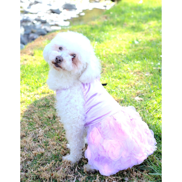 Matching Dog and Owner - Princess Flower Dog Dress - Dogs