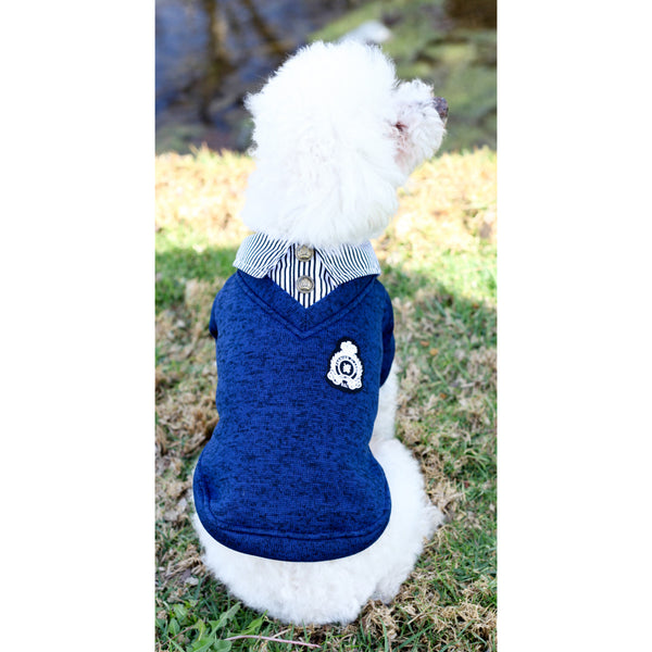 Matching Dog and Owner - Preppy School Dog Sweater - Dogs