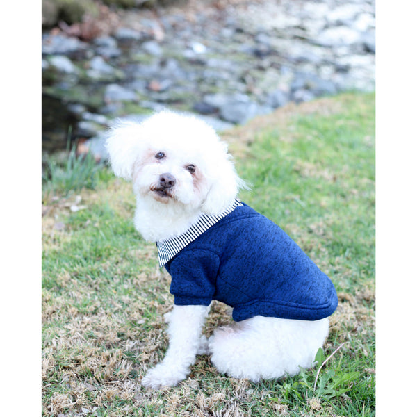 Matching Dog and Owner - Preppy School Dog Sweater - Dogs