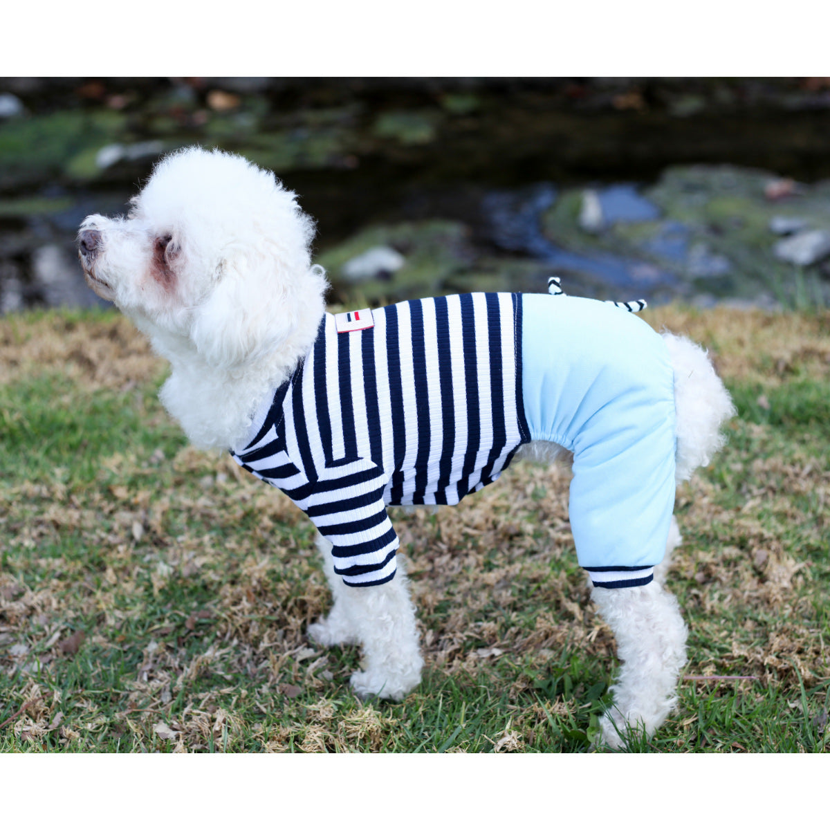 White best sale dog pajamas