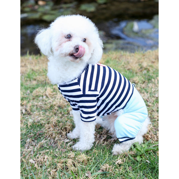 Matching Dog and Owner - French Stripe Parisian Dog Pajamas - Dogs