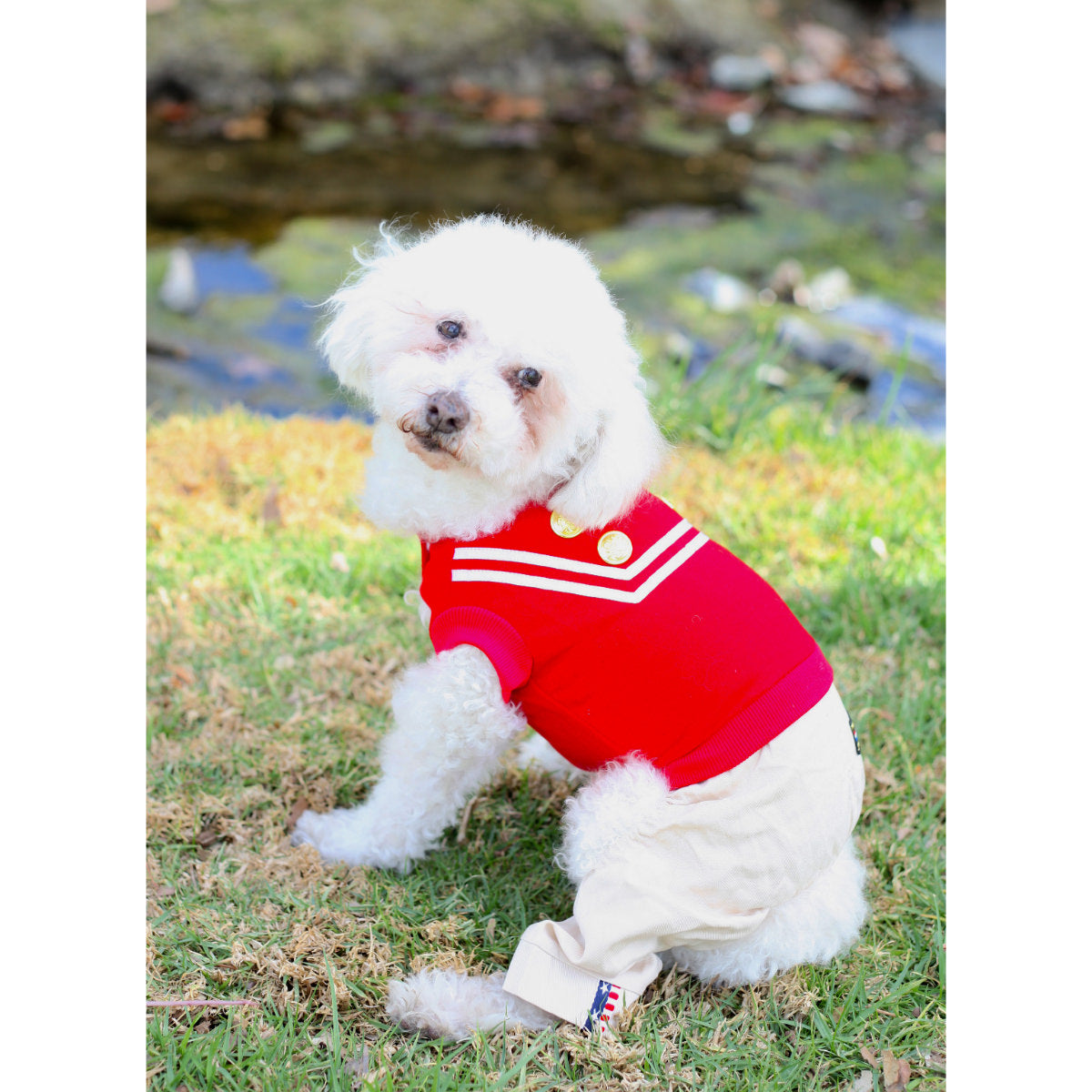 49ers clothes for dogs