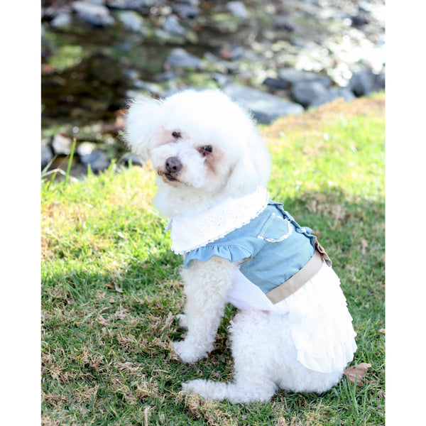 Matching Dog and Owner - Cowgirl Dog Dress - Dogs