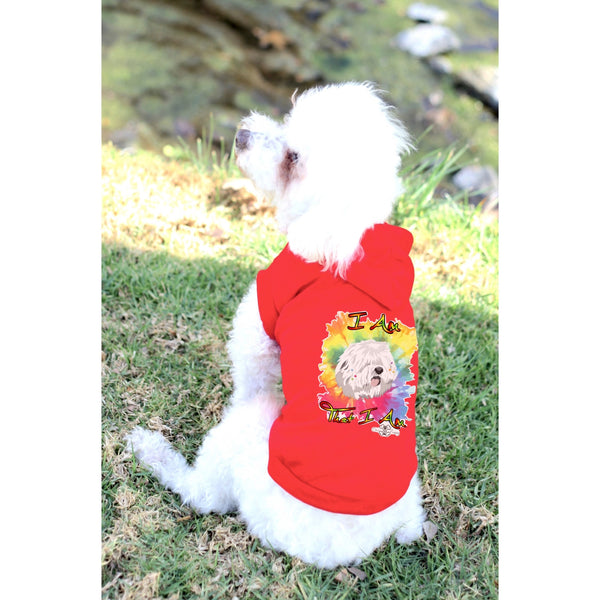 Matching Dog and Owner - I Am That I Am - Dog Shirts & Hoodies - Dogs