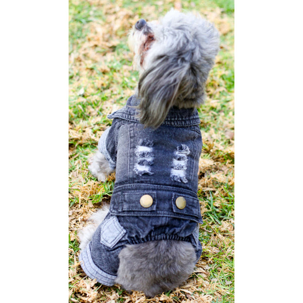 Matching Dog and Owner - Pup-itude Denim Dog Jacket - Dogs