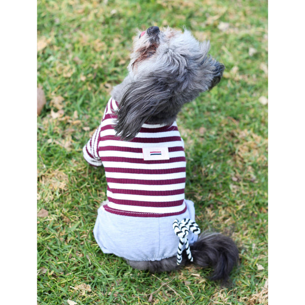 Matching Dog and Owner - French Stripe Parisian Dog Pajamas - Dogs