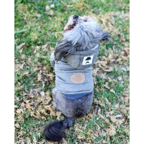 Matching Dog and Owner - Puffy Mustache Dog Hoody - Dogs