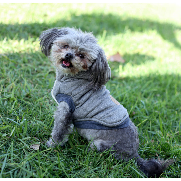 Matching Dog and Owner - Puffy Mustache Dog Hoody - Dogs