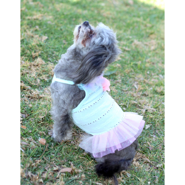 Matching Dog and Owner - Sunshine TuTu Dog Dress - Dogs