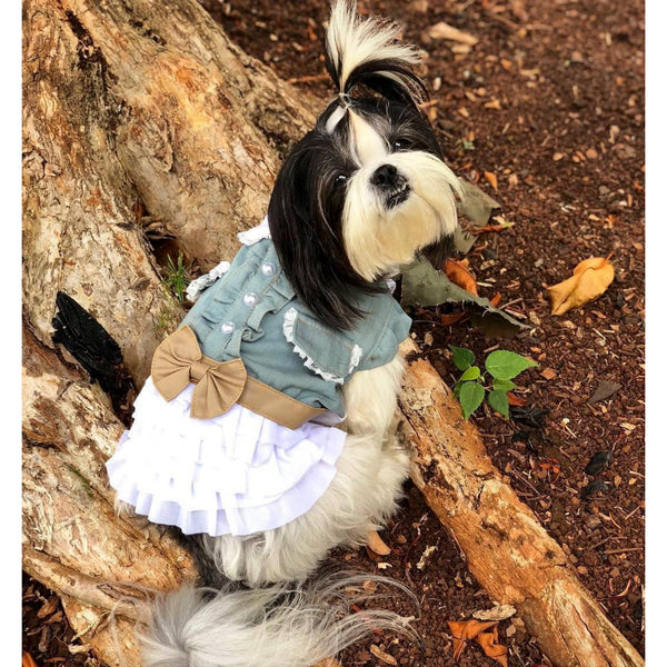 Matching Dog and Owner - Cowgirl Dog Dress - Dogs