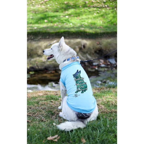 Matching Dog and Owner - Galaxy Dogs - Dog Shirts & Hoodies - Dogs