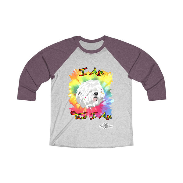 Matching Dog and Owner - I Am That I Am - Men Raglans - Men