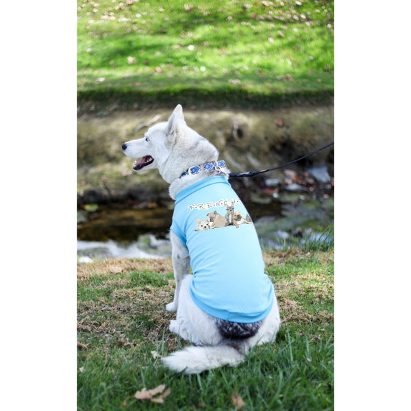 Matching Dog and Owner - F.R.E.N.C.H.I.E.S. Sitcom - Dog Shirts & Hoodies - Dogs