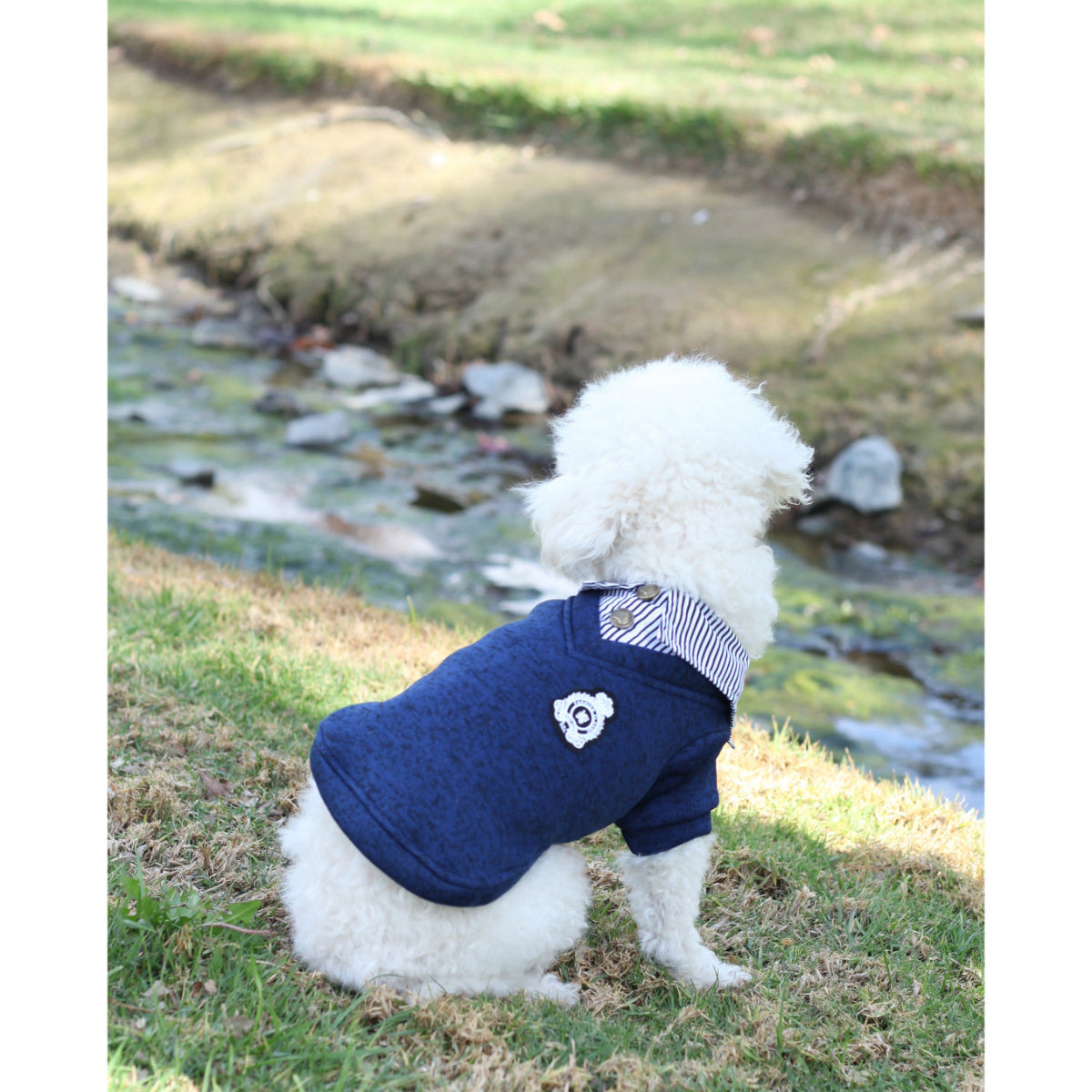 Matching Dog and Owner - Preppy School Dog Sweater - Dogs