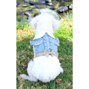 blue dog dress Cowgirl Dog Dress – Chic Puppy