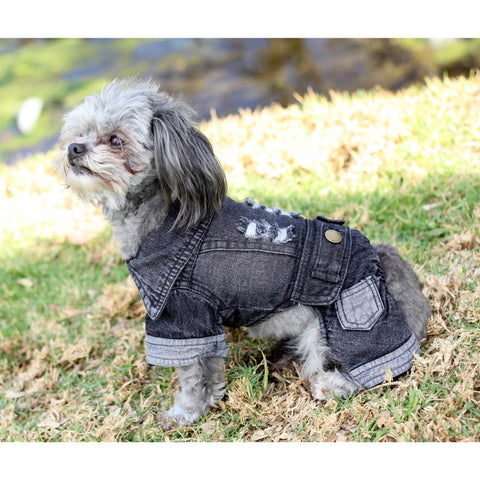 Matching Dog and Owner - Pup-itude Denim Dog Jacket - Dogs