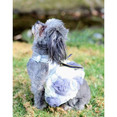 Matching Dog and Owner - Princess Flower Dog Dress - Dogs