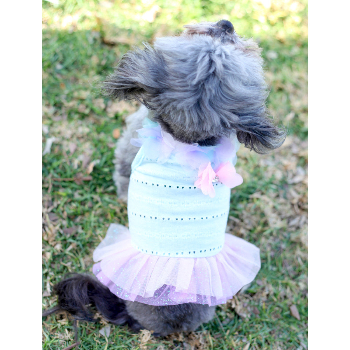 Sunshine TuTu Dog Dress – Chic Puppy