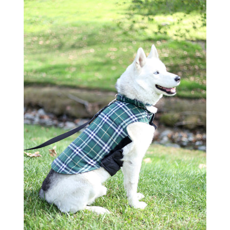 Cubcoats Pimm the Puppy 2 in 1 Transforming Classic Zip Up &  Soft Plushie, Charcoal with Dog Spots